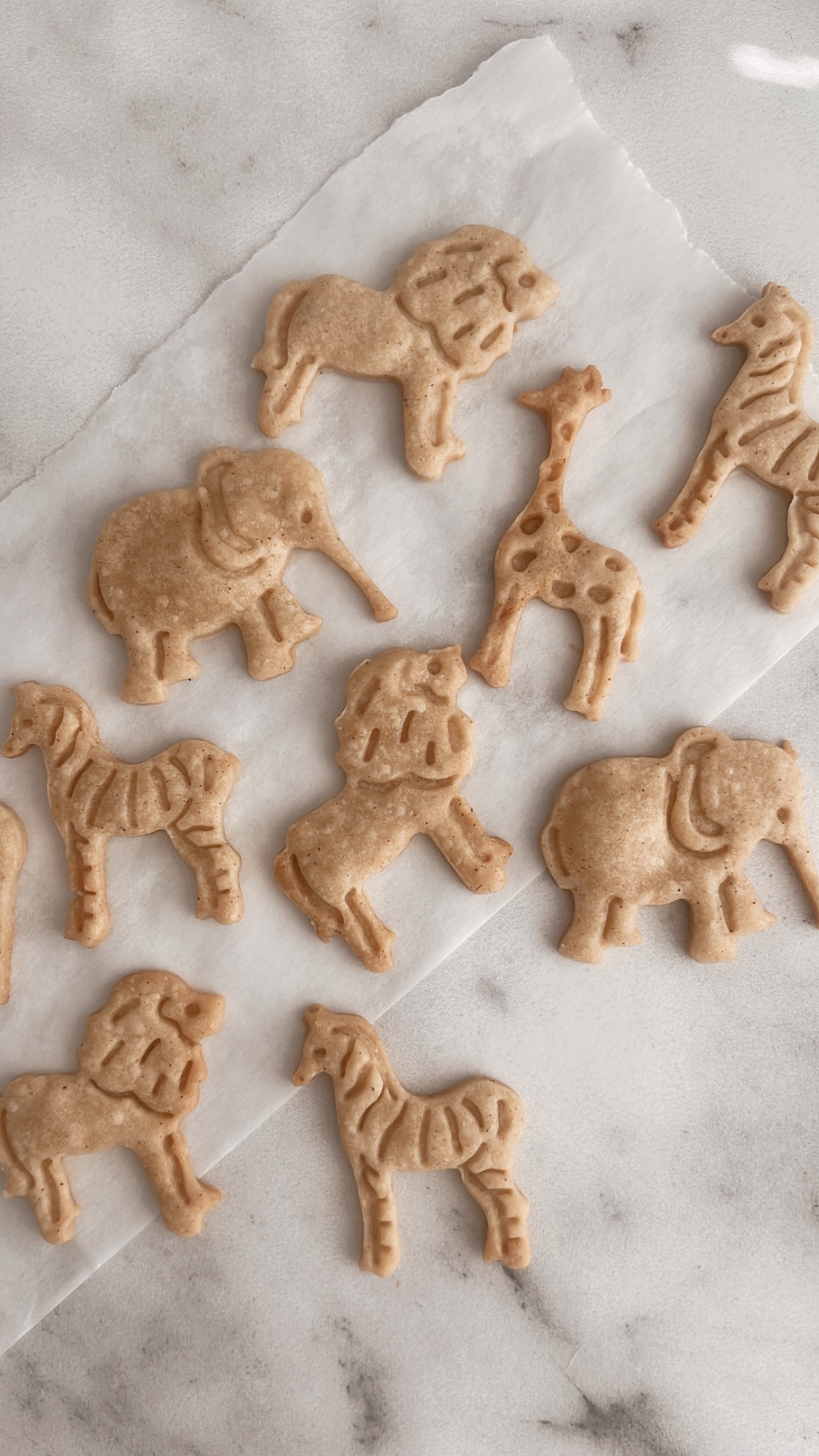 Animal Crackers – Easy & Healthy Toddler Recipe