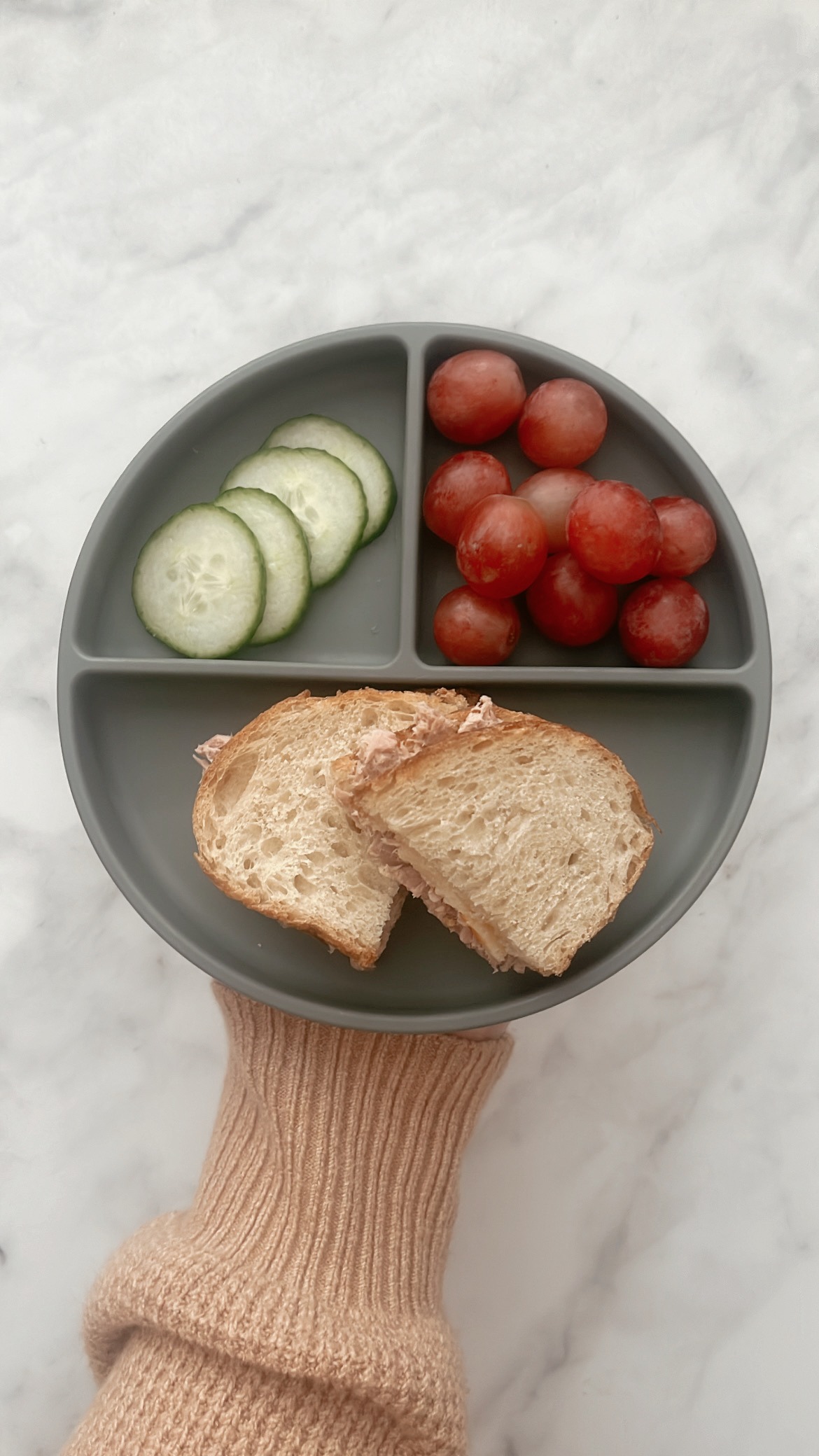 What My Toddlers Ate This Week: Week 5 (Simple Toddler Meal Ideas)